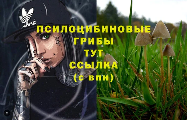 ГАЛЛЮЦИНОГЕННЫЕ ГРИБЫ Рославль