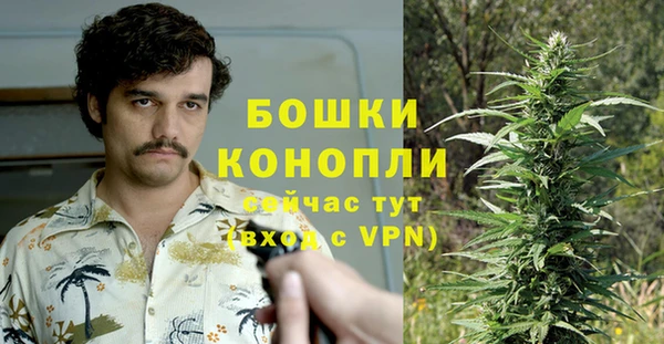 спиды Алексин