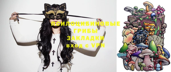 соль ск Алексеевка