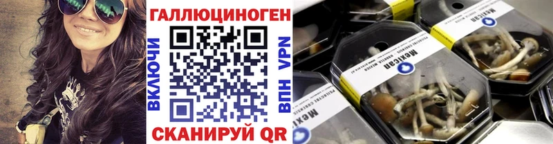Псилоцибиновые грибы мицелий  где можно купить   OMG как войти  Нолинск 